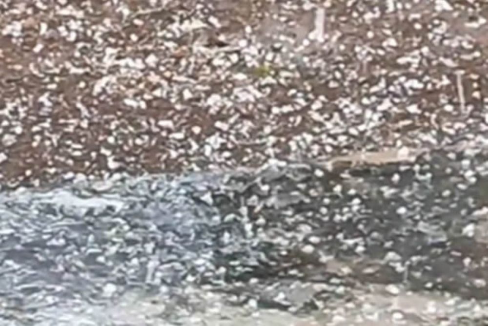 Tempestade provoca estragos em Santa Maria, Valparaíso e Luziânia sem registro de feridos